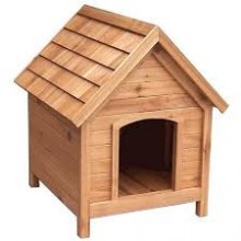 canili2