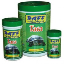 tarta4